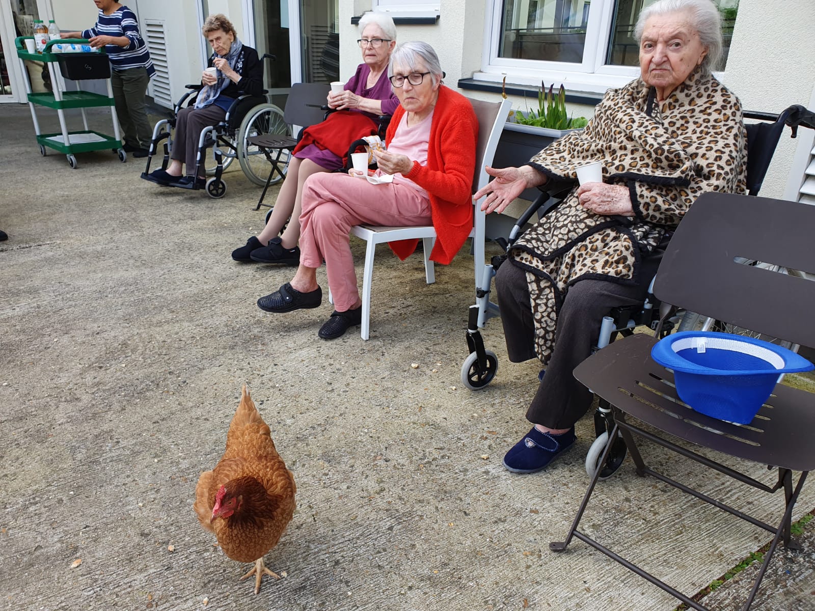 Rencontre avec notre voisine Paulette